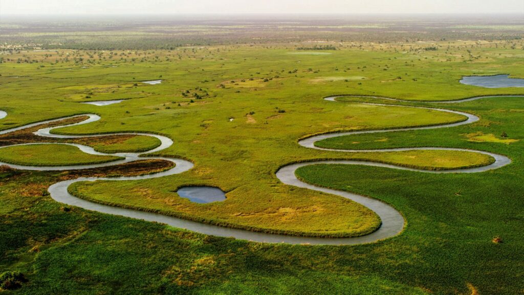 okavango-delta-5158380-medium